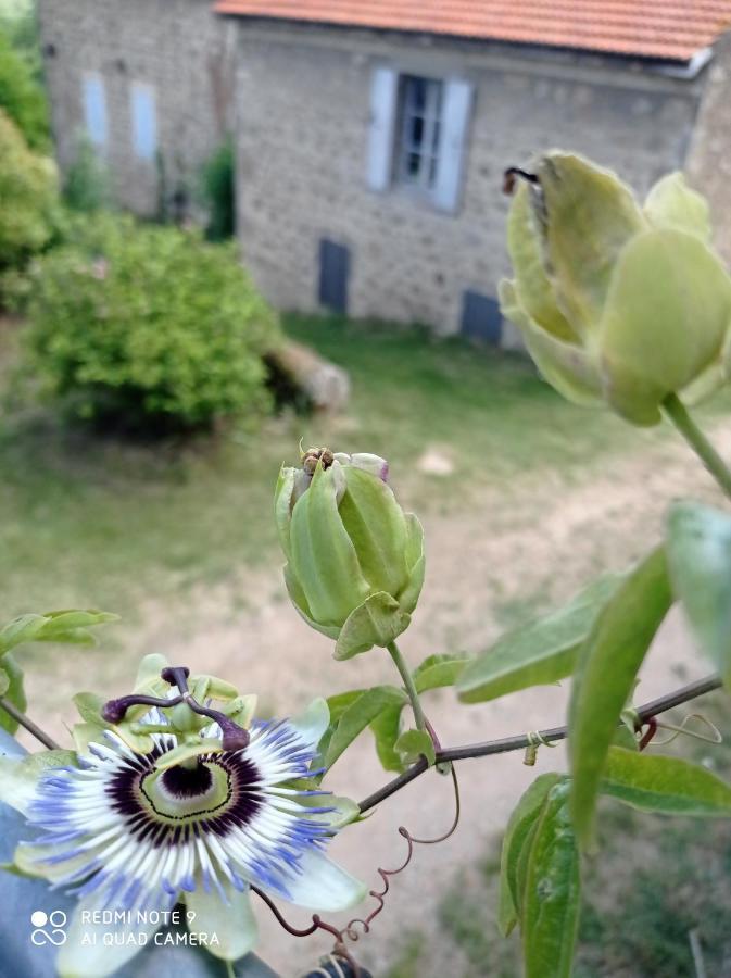 Ferme De Fenivou Villa Boulieu-les-Annonay Екстериор снимка