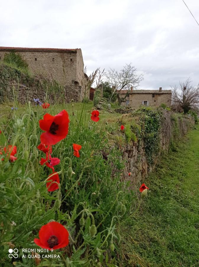 Ferme De Fenivou Villa Boulieu-les-Annonay Екстериор снимка